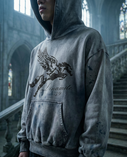 Cavallo Alato Hoodie